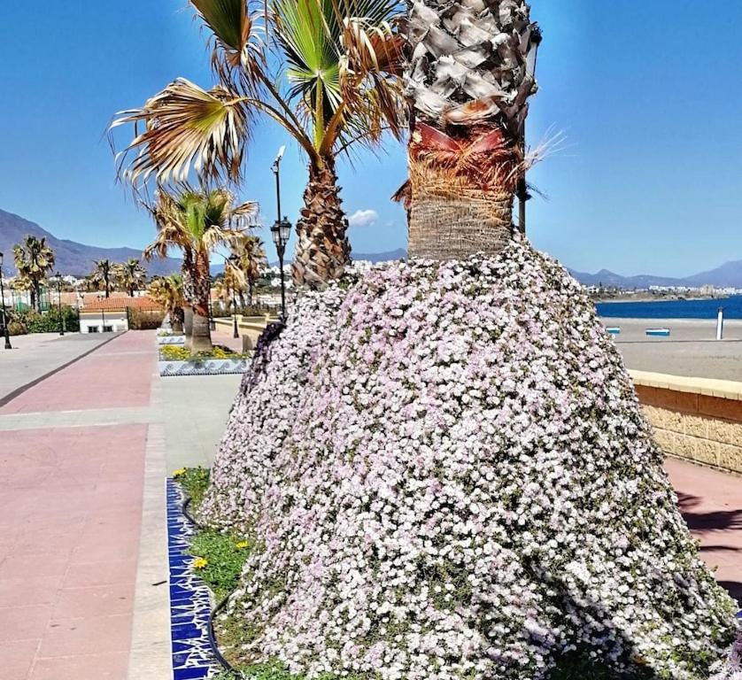 28 Mikonos Playa In Puerto De La Duquesa 2 Bed 2 Bath Apartment Ideally Located To The Beach & Marina Castillo de Sabinillas Zewnętrze zdjęcie